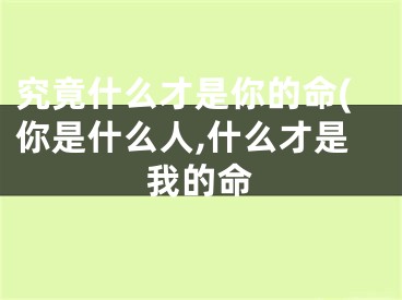 究竟什么才是你的命(你是什么人,什么才是我的命