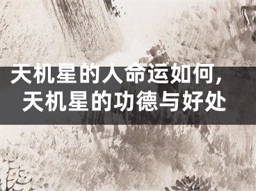 天机星的人命运如何,天机星的功德与好处