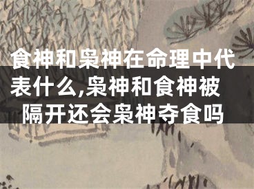 食神和枭神在命理中代表什么,枭神和食神被隔开还会枭神夺食吗