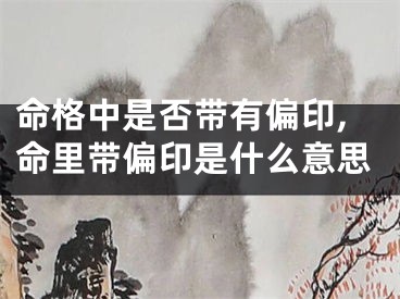 命格中是否带有偏印,命里带偏印是什么意思