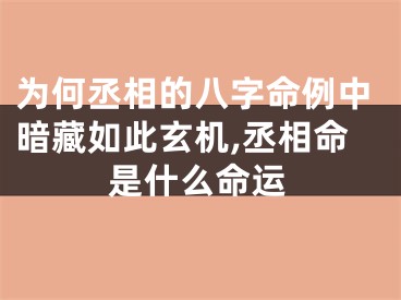 为何丞相的八字命例中暗藏如此玄机,丞相命是什么命运
