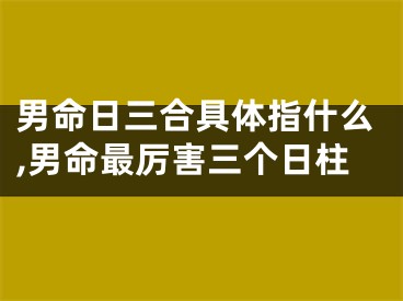 男命日三合具体指什么,男命最厉害三个日柱