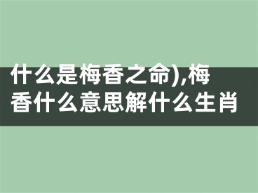 什么是梅香之命),梅香什么意思解什么生肖
