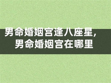 男命婚姻宫逢八座星,男命婚姻宫在哪里