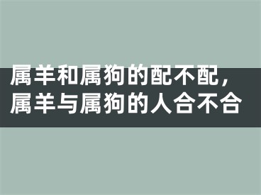 属羊和属狗的配不配，属羊与属狗的人合不合