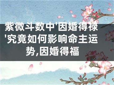 紫微斗数中'因婚得禄'究竟如何影响命主运势,因婚得福