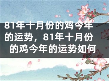 81年十月份的鸡今年的运势，81年十月份的鸡今年的运势如何