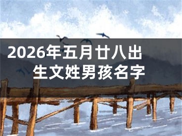 2026年五月廿八出生文姓男孩名字