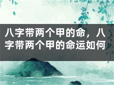 八字带两个甲的命,八字带两个甲的命运如何