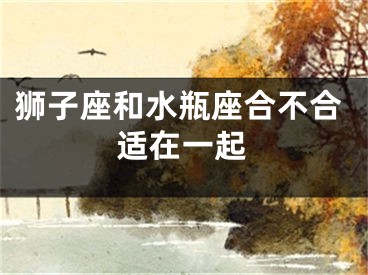 狮子座和水瓶座合不合适在一起