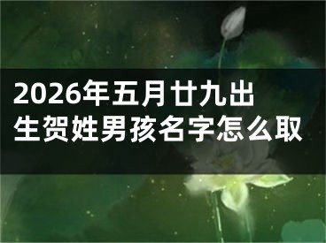 2026年五月廿九出生贺姓男孩名字怎么取