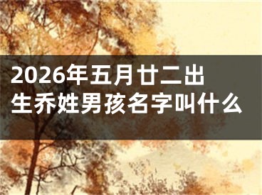 2026年五月廿二出生乔姓男孩名字叫什么