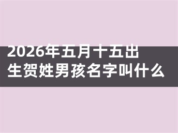 2026年五月十五出生贺姓男孩名字叫什么