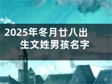2025年冬月廿八出生文姓男孩名字