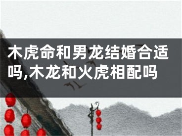 木虎命和男龙结婚合适吗,木龙和火虎相配吗