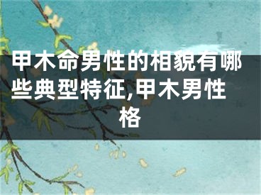 甲木命男性的相貌有哪些典型特征,甲木男性格