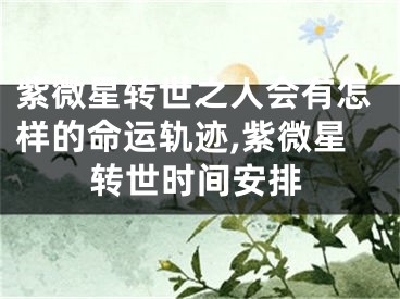 紫微星转世之人会有怎样的命运轨迹,紫微星转世时间安排
