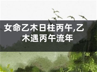 女命乙木日柱丙午,乙木遇丙午流年