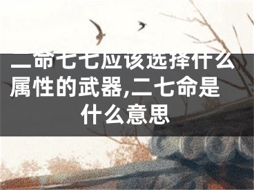 二命七七应该选择什么属性的武器,二七命是什么意思