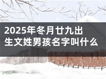 2025年冬月廿九出生文姓男孩名字叫什么