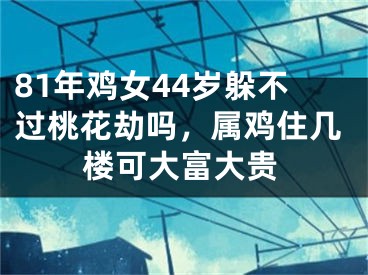 81年鸡女44岁躲不过桃花劫吗，属鸡住几楼可大富大贵