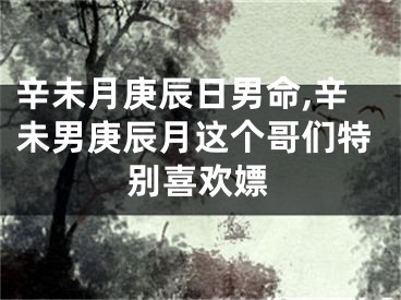 辛未月庚辰日男命,辛未男庚辰月这个哥们特别喜欢嫖