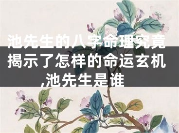 池先生的八字命理究竟揭示了怎样的命运玄机,池先生是谁