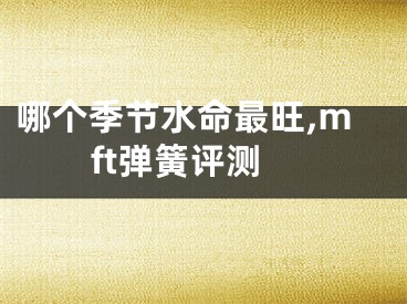 哪个季节水命最旺,mft弹簧评测