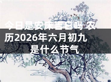 今日是安床吉日吗 农历2026年六月初九是什么节气