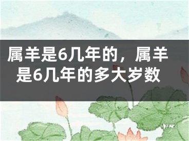 属羊是6几年的,属羊是6几年的多大岁数