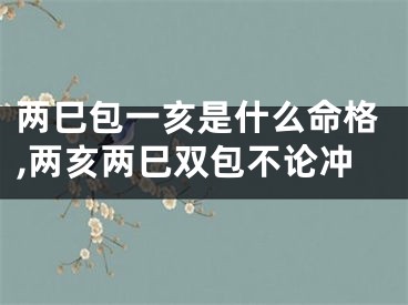 两巳包一亥是什么命格,两亥两巳双包不论冲