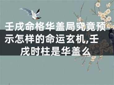 壬戌命格华盖局究竟预示怎样的命运玄机,壬戌时柱是华盖么
