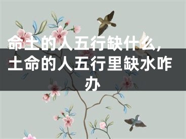 命土的人五行缺什么,土命的人五行里缺水咋办