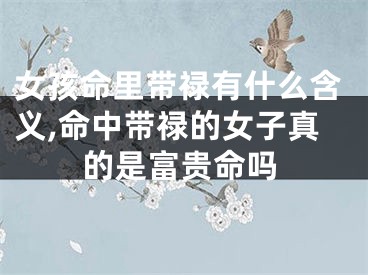 女孩命里带禄有什么含义,命中带禄的女子真的是富贵命吗