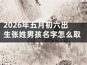 2026年五月初六出生张姓男孩名字怎么取