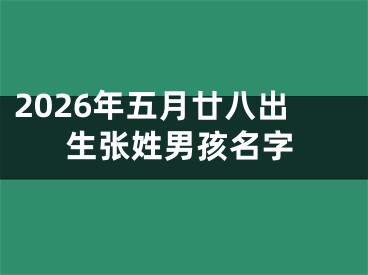 2026年五月廿八出生张姓男孩名字