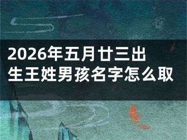 2026年五月廿三出生王姓男孩名字怎么取
