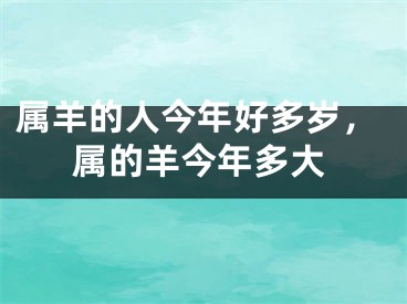 属羊的人今年好多岁,属的羊今年多大