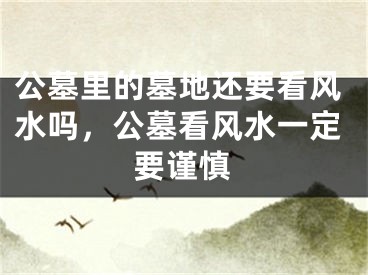 公墓里的墓地还要看风水吗，公墓看风水一定要谨慎