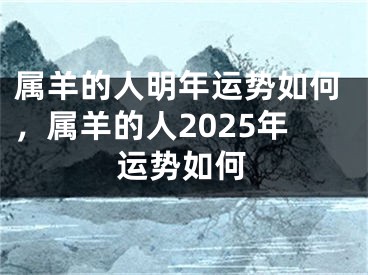 属羊的人明年运势如何,属羊的人2025年运势如何
