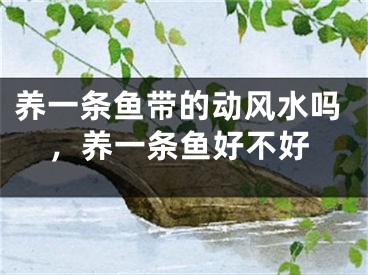 养一条鱼带的动风水吗,养一条鱼好不好