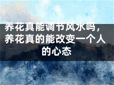养花真能调节风水吗，养花真的能改变一个人的心态