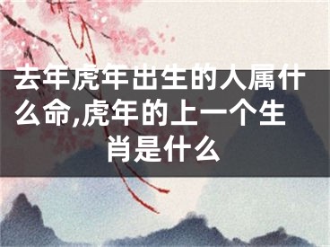 去年虎年出生的人属什么命,虎年的上一个生肖是什么