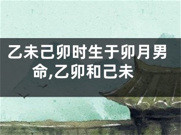 乙未己卯时生于卯月男命,乙卯和己未