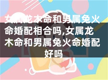 女属龙木命和男属兔火命婚配相合吗,女属龙木命和男属兔火命婚配好吗