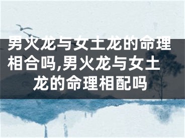 男火龙与女土龙的命理相合吗,男火龙与女土龙的命理相配吗
