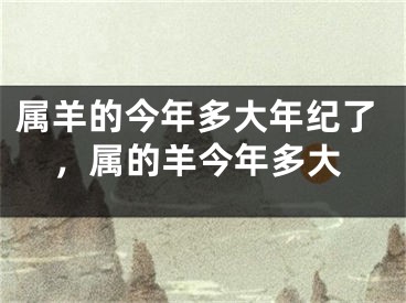 属羊的今年多大年纪了，属的羊今年多大