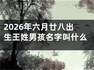 2026年六月廿八出生王姓男孩名字叫什么