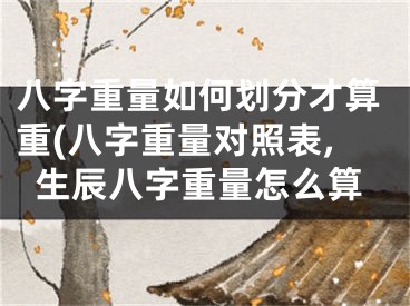 八字重量如何划分才算重(八字重量对照表,生辰八字重量怎么算