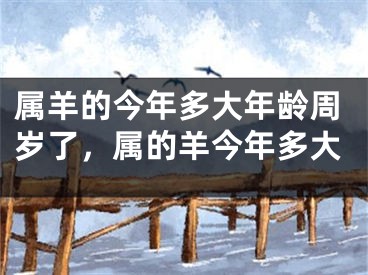 属羊的今年多大年龄周岁了，属的羊今年多大